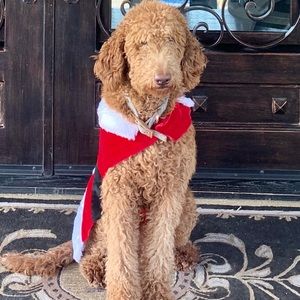 Meet your Posher, Leisha